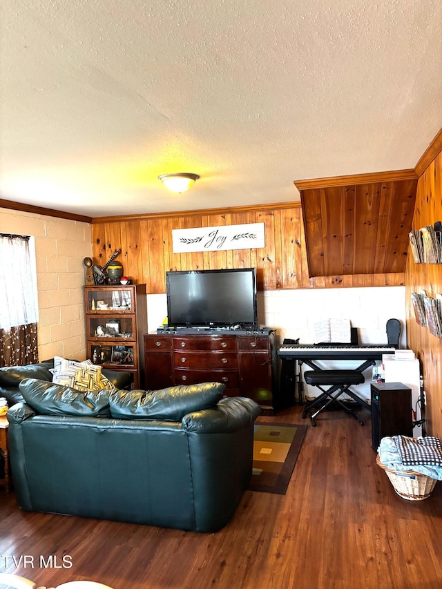 living room featuring a textured ceiling and dark wood finished floors