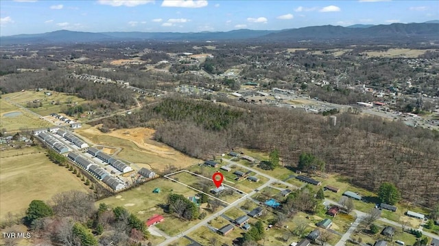 aerial view with a mountain view