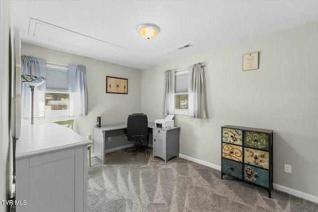 carpeted home office featuring plenty of natural light, visible vents, attic access, and baseboards