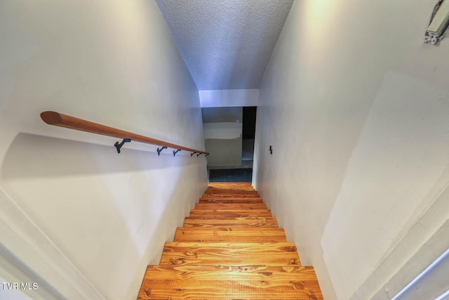 166 Clarksdale Cir, Rogersville, TN 37857 - photo 86