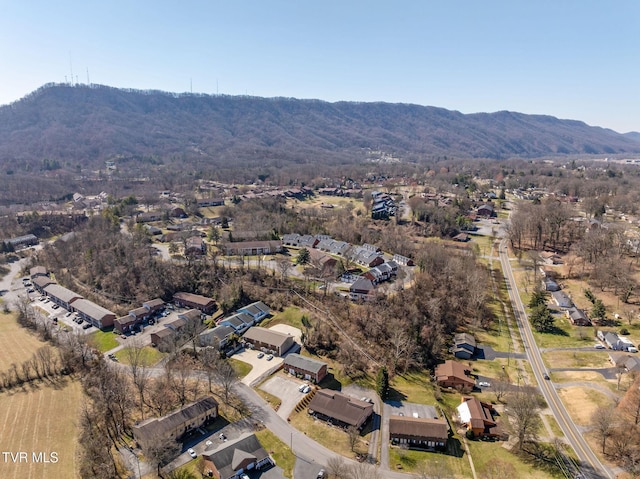 bird's eye view with a mountain view