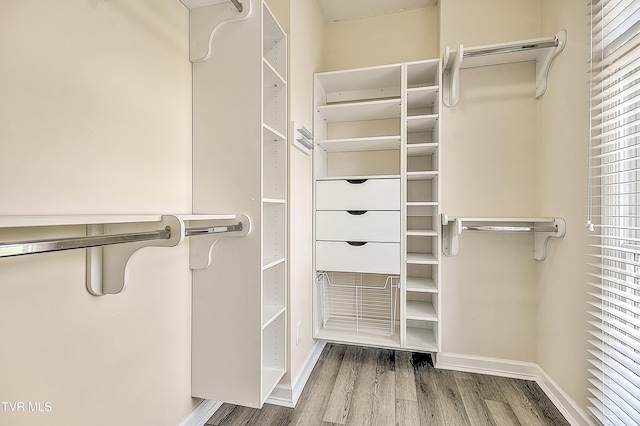 walk in closet featuring wood finished floors