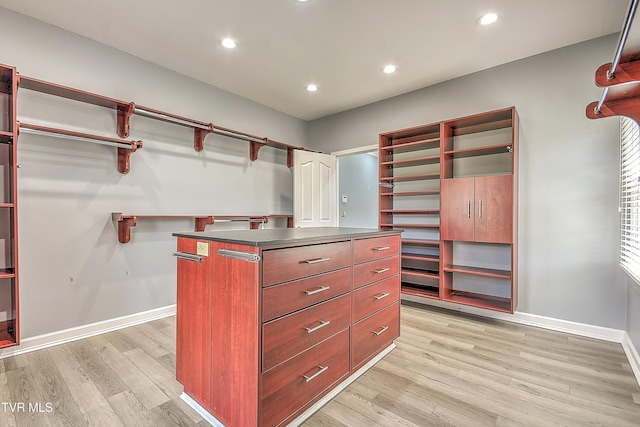 spacious closet with light wood-type flooring