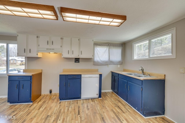 kitchen featuring blue cabinetry, white dishwasher, under cabinet range hood, and a sink