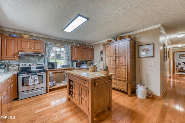 kitchen featuring under cabinet range hood, backsplash, stainless steel electric range, and light wood-type flooring