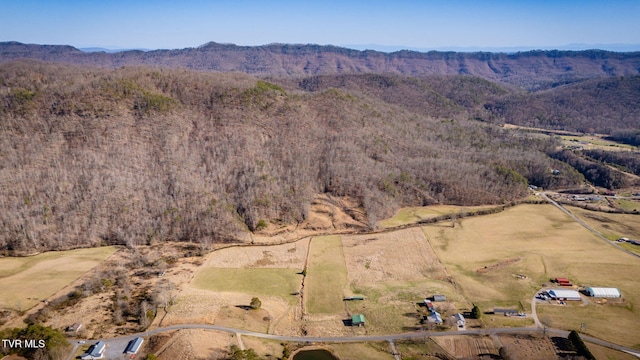 drone / aerial view featuring a forest view and a mountain view