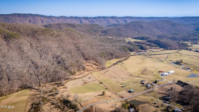 birds eye view of property featuring a mountain view and a view of trees