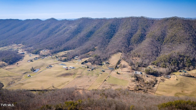 property view of mountains