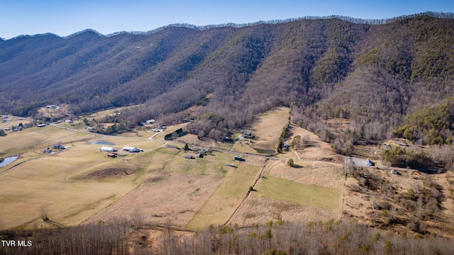 property view of mountains with a forest view