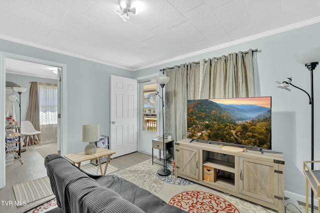 living room featuring light wood-style flooring, baseboards, and ornamental molding