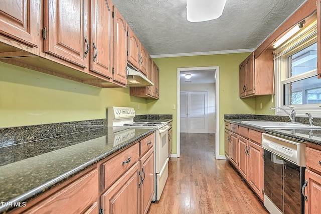 kitchen featuring under cabinet range hood, dishwashing machine, light wood-style floors, white range with electric stovetop, and a sink