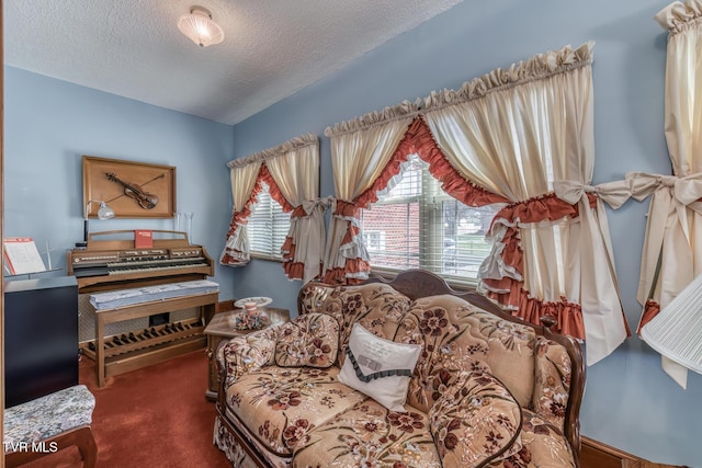 living area with carpet floors and a textured ceiling