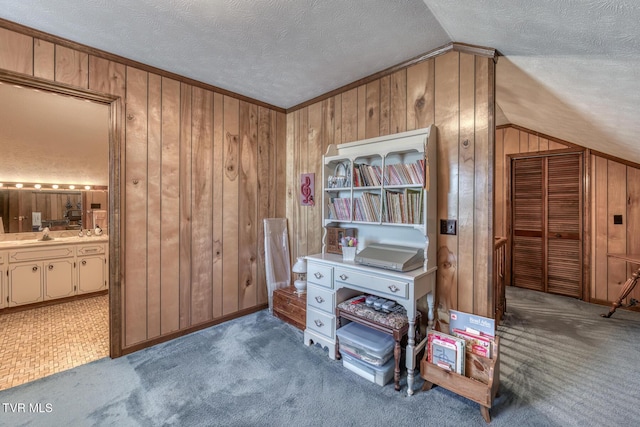 interior space with a textured ceiling, carpet floors, wooden walls, and vaulted ceiling