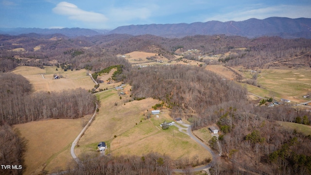 bird's eye view with a mountain view