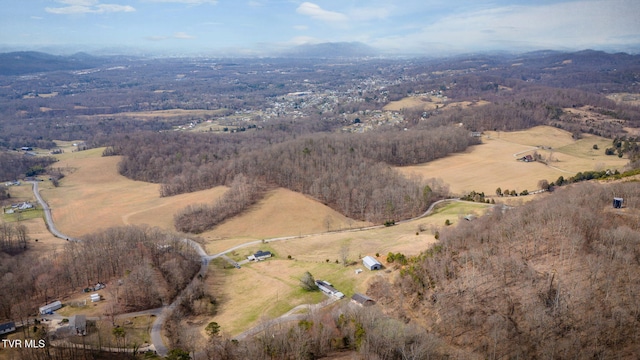 birds eye view of property featuring a rural view and a mountain view