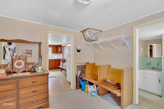 spacious closet with light colored carpet and a sink