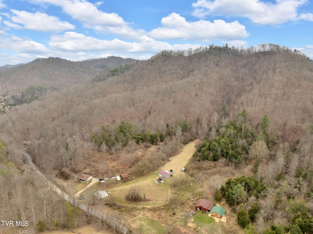 mountain view with a forest view