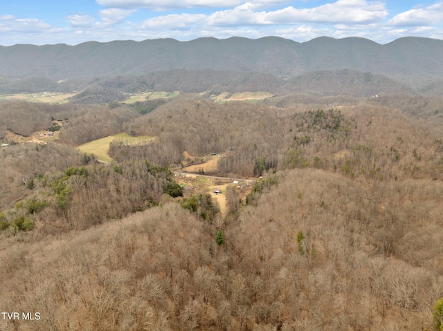 view of mountain feature