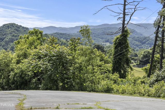 property view of mountains