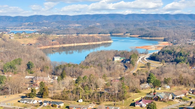 birds eye view of property with a forest view and a water and mountain view