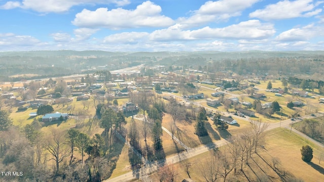 drone / aerial view with a mountain view