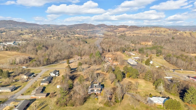 birds eye view of property featuring a mountain view