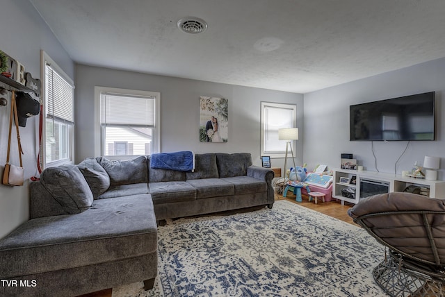 living area featuring wood finished floors and visible vents