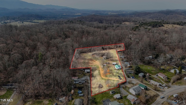 birds eye view of property with a mountain view and a view of trees