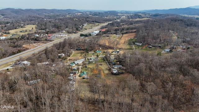 bird's eye view with a wooded view, a rural view, and a mountain view