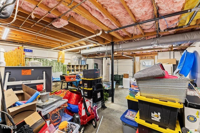 garage with water heater