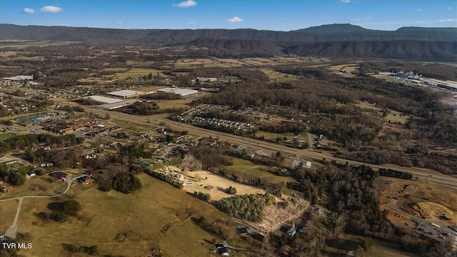 birds eye view of property featuring a mountain view