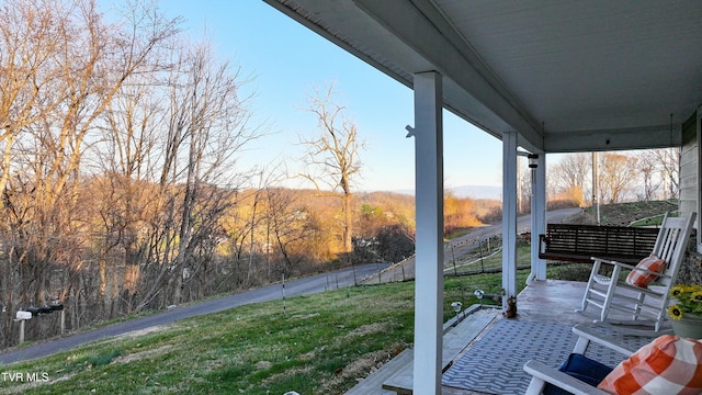 view of yard with covered porch