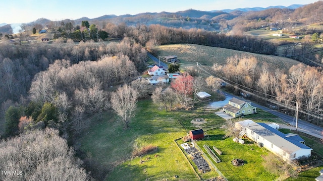 bird's eye view featuring a rural view and a mountain view