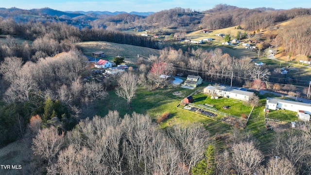 drone / aerial view featuring a view of trees and a mountain view