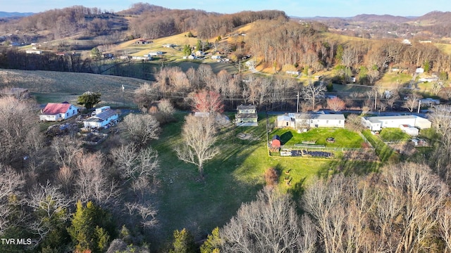 birds eye view of property featuring a mountain view and a view of trees