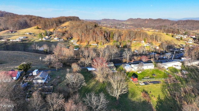 birds eye view of property featuring a forest view and a mountain view