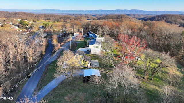 birds eye view of property featuring a mountain view and a view of trees