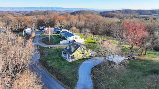 aerial view with a mountain view and a view of trees