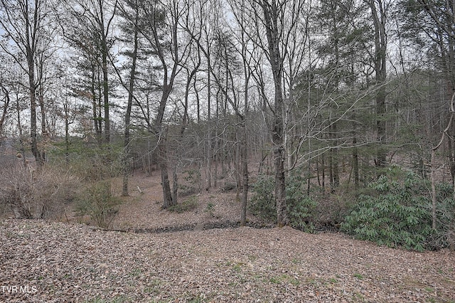 view of nature with a view of trees