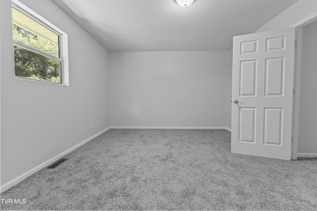 additional living space with visible vents, a textured ceiling, baseboards, and carpet floors