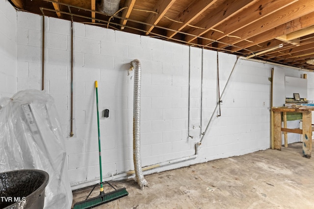 unfinished basement featuring concrete block wall