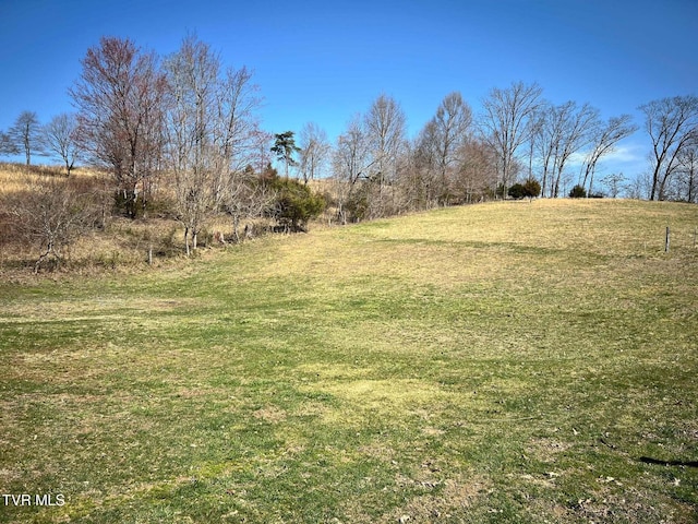 view of yard with a rural view