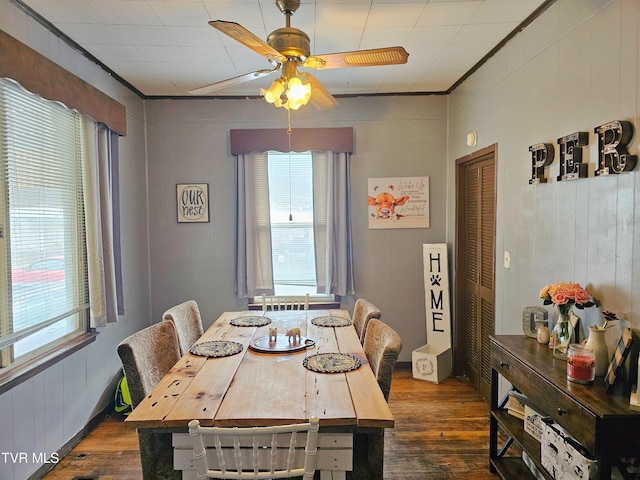 dining room featuring ceiling fan, dark wood-style flooring, and ornamental molding