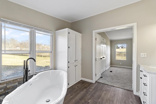 full bathroom with wood finished floors, vanity, baseboards, and a freestanding tub