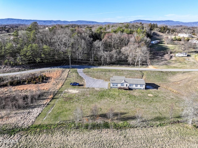 aerial view with a mountain view