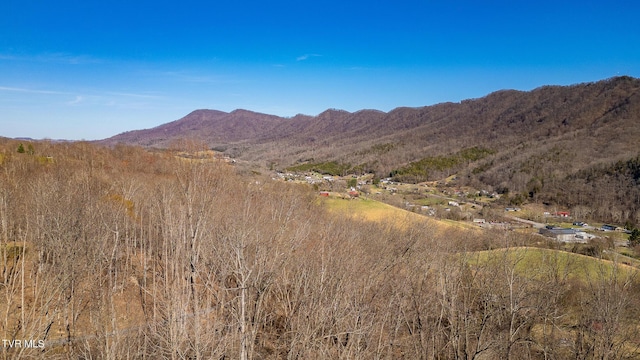 0 Moccasin Hills Dr, Gate City, VA 24251 - photo 28