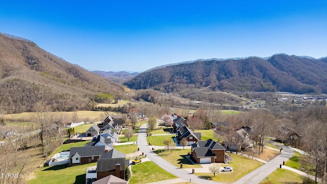 0 Moccasin Hills Dr, Gate City, VA 24251 - photo 4
