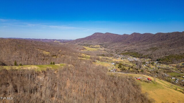 0 Moccasin Hills Dr, Gate City, VA 24251 - photo 29