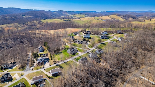 0 Moccasin Hills Dr, Gate City, VA 24251 - photo 3