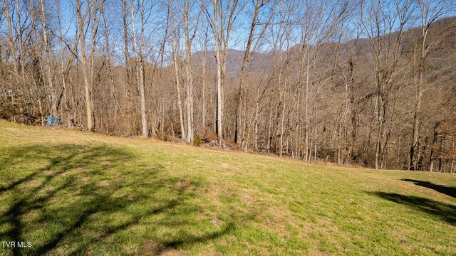 0 Moccasin Hills Dr, Gate City, VA 24251 - photo 5